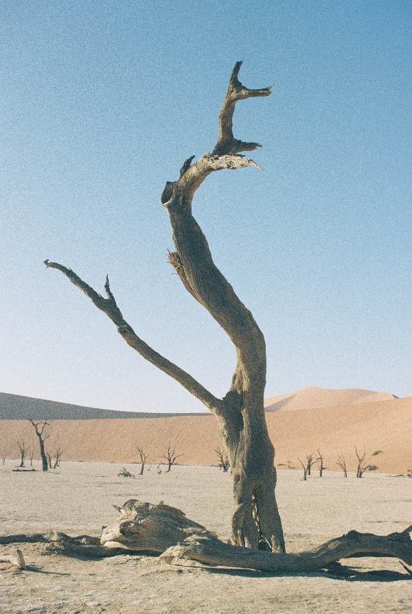 analoge foto.